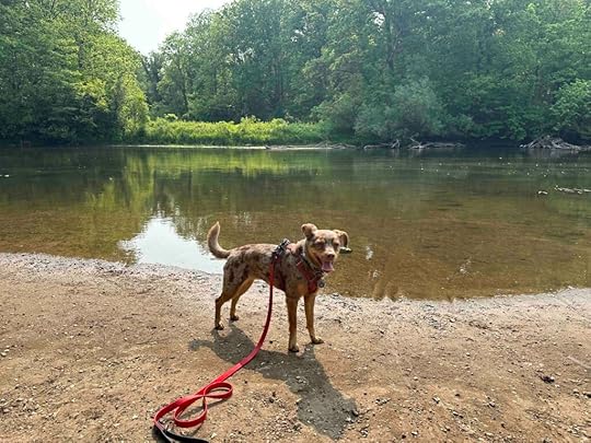Sunny checking out Elkhart River