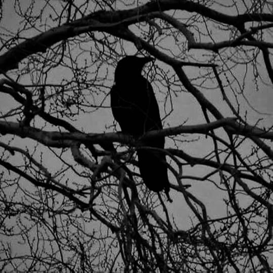 IMG-5828