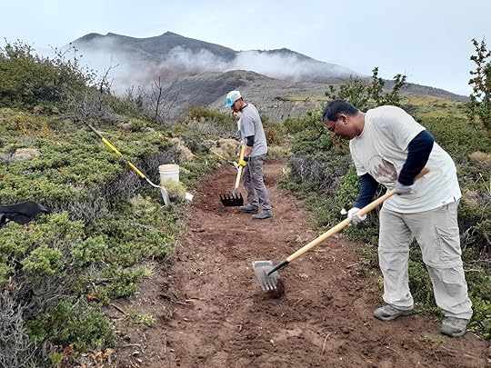 volunteers doing trail maintenance in chilean patagonia