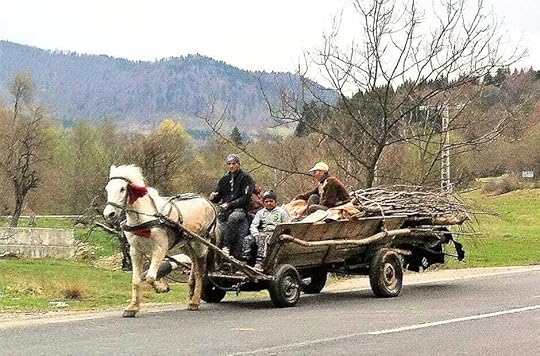 Romany people and horse-drawn carts on the roads alongside all the cars and trucks in rural Romania
