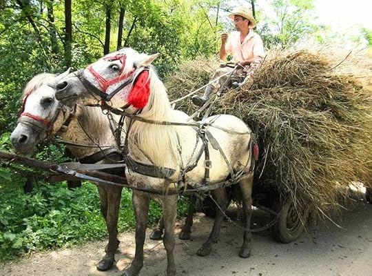 Romany people (Roma) and their horse drawn carts are an integral part of Romania’s social fabric