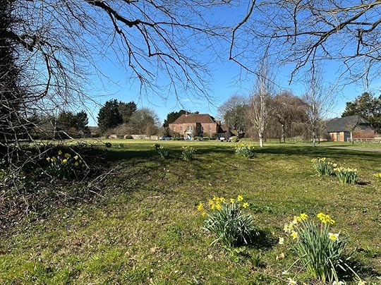 House, trees, blue sky, daffodils