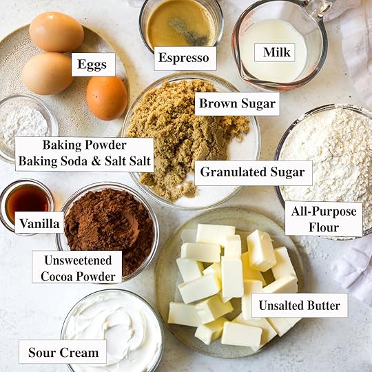 Overhead flat lay of chocolate sheet cake ingredients including unsalted butter, granulated sugar, brown sugar, all-purpose flour, unsweetened cocoa powder, eggs, sour cream, milk, espresso, vanilla extract, baking powder, baking soda, and salt, displayed for a homemade cake recipe.