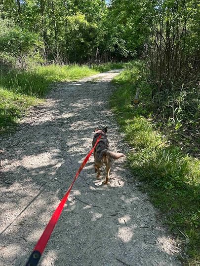 on the Three Falls Trail