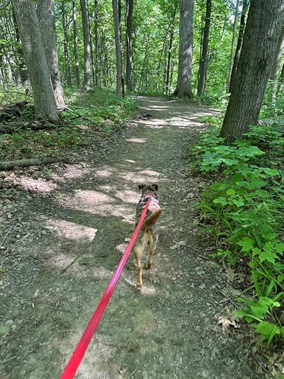 on the trail at Salamonie River State Forest