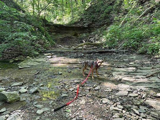 finally found a waterfall