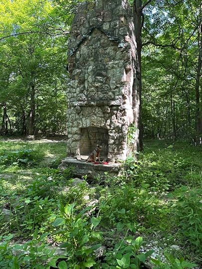 chimney at Salamonie River State Forest