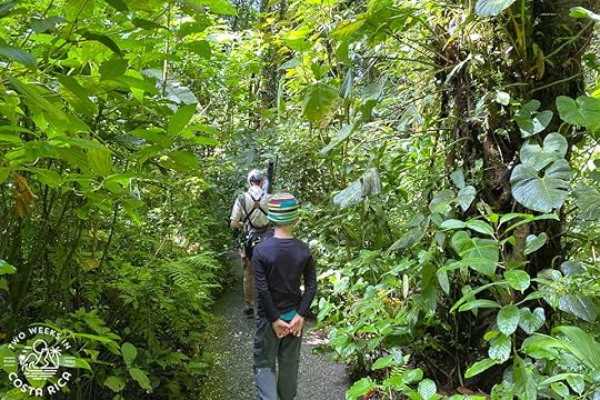 a family hiking on a trail through the cloud forest in monteverde