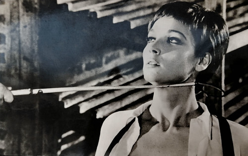 Elsa Martinelli in Maldonne (1969)