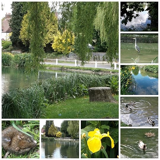 collage_buriton