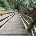 Down steep stairs to the Strait of Juan de Fuca