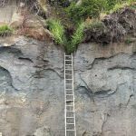 Ladder climibing halfway up the bluff from Strait of Juan de Fuca
