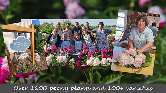 Ovans Peony Farm in Beaver Dam WI
