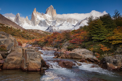 fitzroy