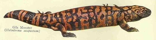 gila monster