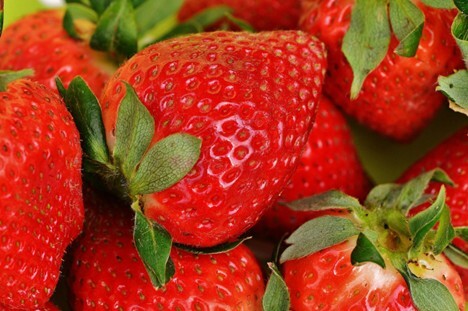 Food without Guilt -- Wake up to 5 possibilities for getting yourself out of self-defeating food ruts.