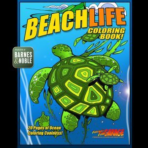 Fireball Custom COLORING BOOKS