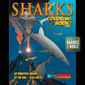 Fireball Custom COLORING BOOKS