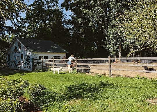 clover lawn