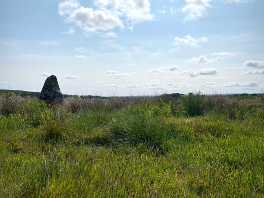 Loudon Wood: an elusive stone circle