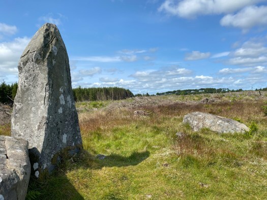 Loudon Wood: an elusive stone circle