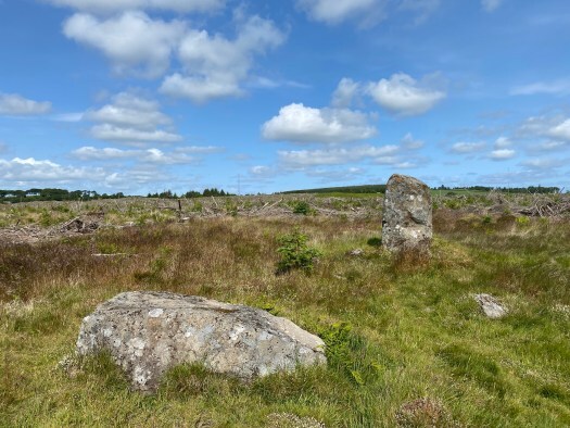 Loudon Wood: an elusive stone circle