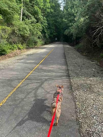 Start of the Nickel Plate Trail