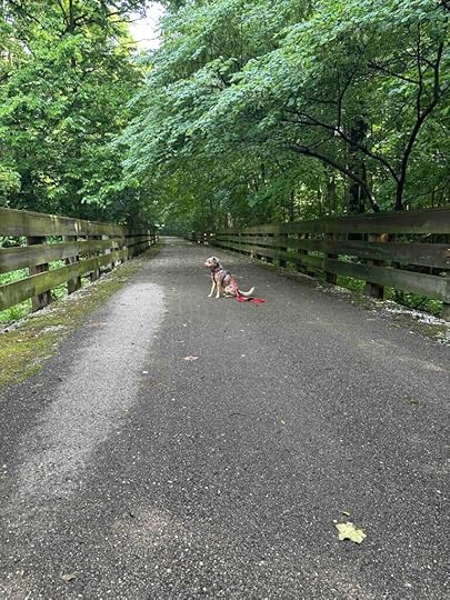 Sunny on Nickel Plate trail