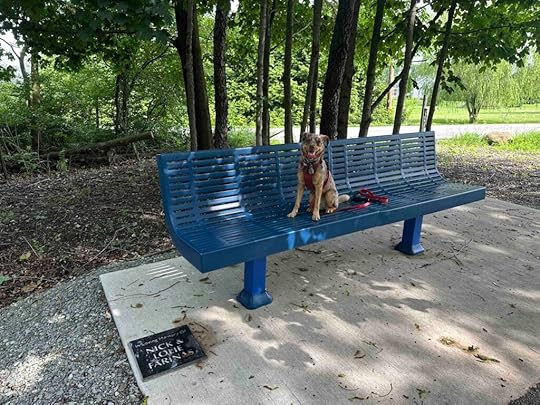 memorial bench on Nickel Plate Trail