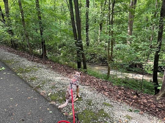 checking out the water