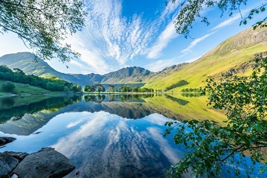 Four Lessons in Employee Engagement We Can Learn from Nature