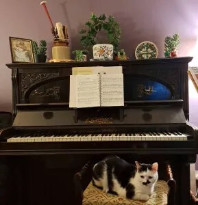 photo of my piano with Bertie the cat on the piano stool