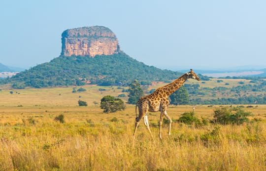 kruger-national-park-south-africa-safari