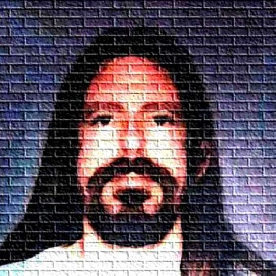 Portrait of author Alden Loveshade. A Caucasian man with long dark hair, a short beard and moustache faces you. His image is projected onto a brick wall.