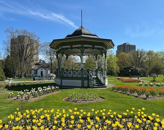 Halifax Public Gardens bandstand, yellow and red tulips, blue sky