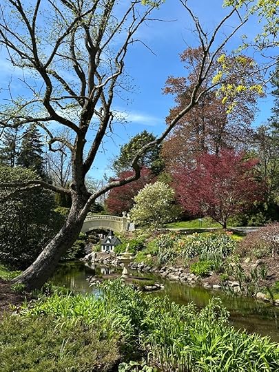 Bridge, stream, trees, tulips, blue sky, in the Halifax Public Gardens