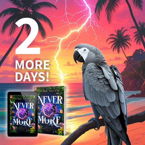 2 Days until the worldwide release of Nevermore from best selling women's fantasy fiction author Blair Bryan