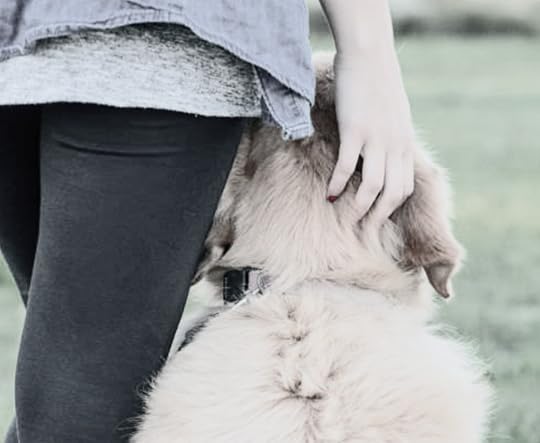 May be an image of 1 person and Great Pyrenees