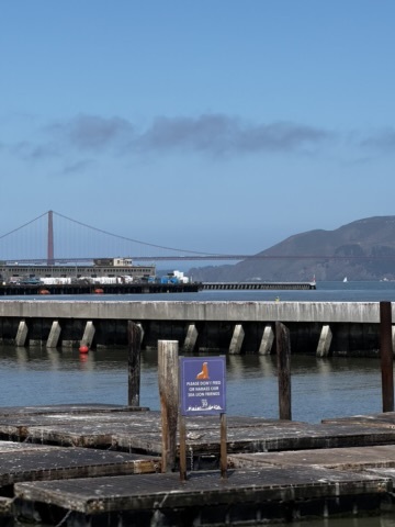 view of golden gate bridge and sea lions at Pier 39