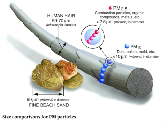 Illustration comparing sizes of PM2.5 and PM10 particles to human hair and fine beach sand, highlighting their diameters in microns.