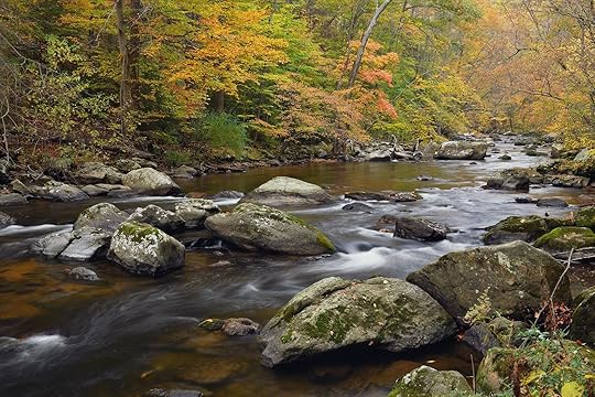 New Jersey nature