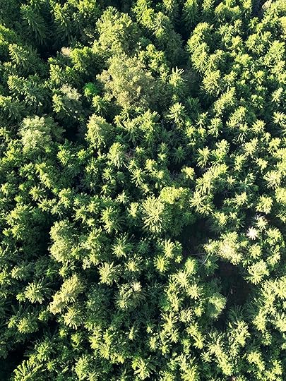 Опознай хижа „Горски рай“ от близо с помощта на Subaru