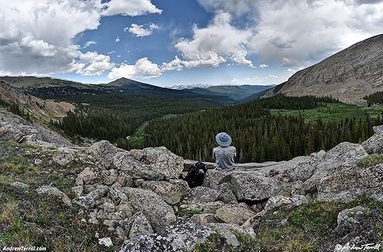 A wild valley - 29 June 2025