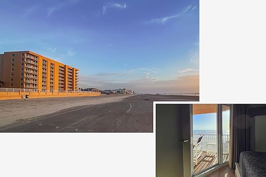 things to do in new smyrna beach