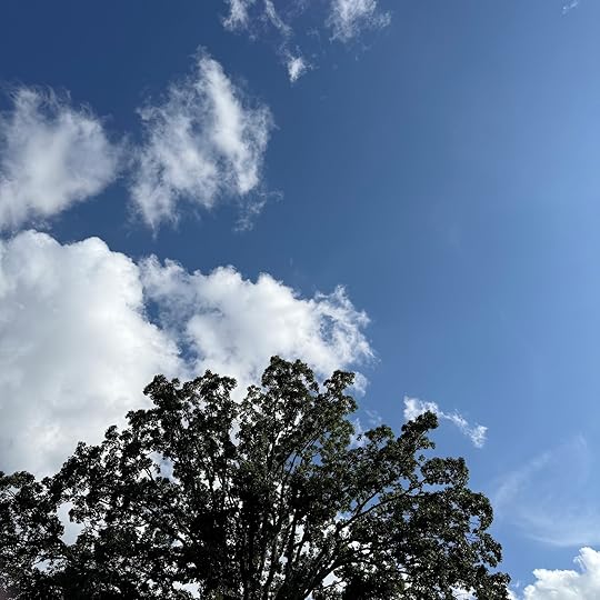 A large tree with dense foliage is silhouetted against a bright blue sky. Fluffy white clouds are scattered across the sky, creating a contrast with the deep blue background.