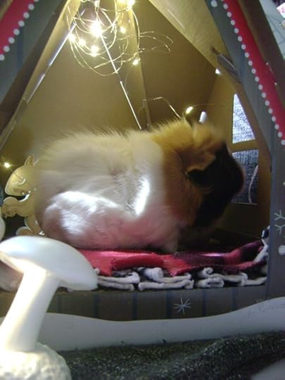 Rachel E Smith guinea pig Snuffy