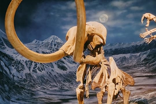 things to do in alberta