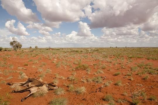 Drought - Outback Australia Stock Photo - Image of colorful, spinifex ...