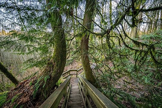 things to do in Bellevue Washington