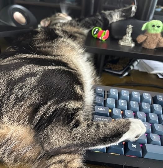 My kitten shoving my keyboard aside. Getting a handle on my shortened fuse.